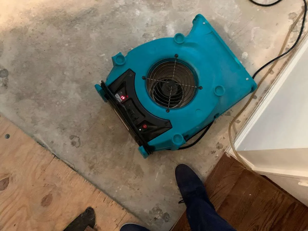 Air mover drying subfloor during Commercial Water Damage Restoration in Centralia